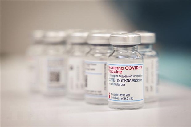 เวียดนามรับวัคซีนป้องกันโควิด –19 Pfizer/BioNtech งวดแรกรวม 97,110 โดส - ảnh 2