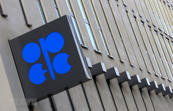 OPEC คาดการณ์ว่า ความต้องการน้ำมันจะเพิ่มขึ้นใน 2 ทศวรรษข้างหน้า - ảnh 1
