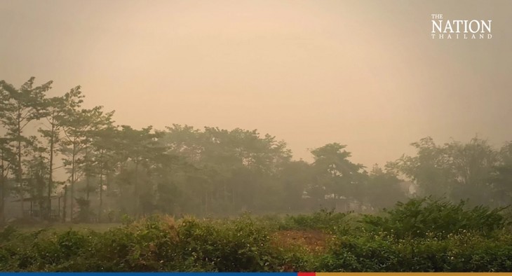 ประเทศไทยพิจารณาการประกาศคำสั่งฉุกเฉินเพื่อแก้ปัญหาฝุ่น PM2.5 - ảnh 1