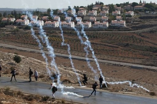 EU urges Israel to scrap massive settlement plan - ảnh 1