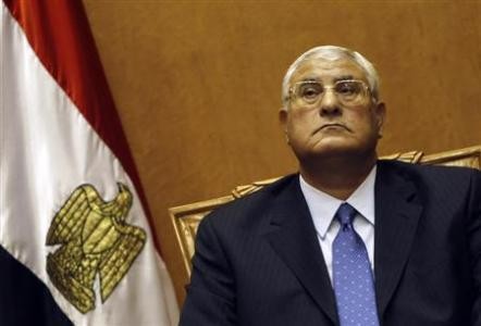 Adli Mansour sworn in as Egypt’s interim president - ảnh 1