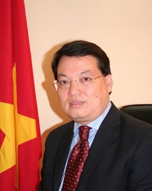 Vietnamese Year in France to improve bi-lateral ties - ảnh 1