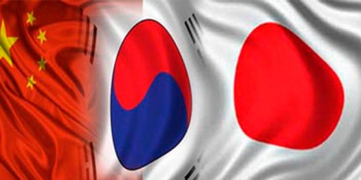 Republic of Korea, China, and Japan prepare for FTA negotiation - ảnh 1