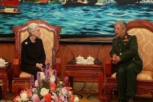 Vietnam values defense-security cooperation with US - ảnh 1