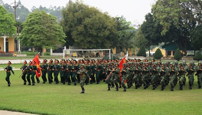 Plentiful activities to mark Dien Bien Phu Victory - ảnh 1