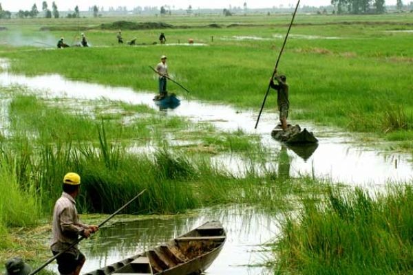 Project enhances climate change resilience of Mekong Delta provinces - ảnh 1
