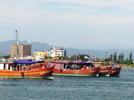 VN to handle China’s arrest of its fishing boats and fishermen - ảnh 1