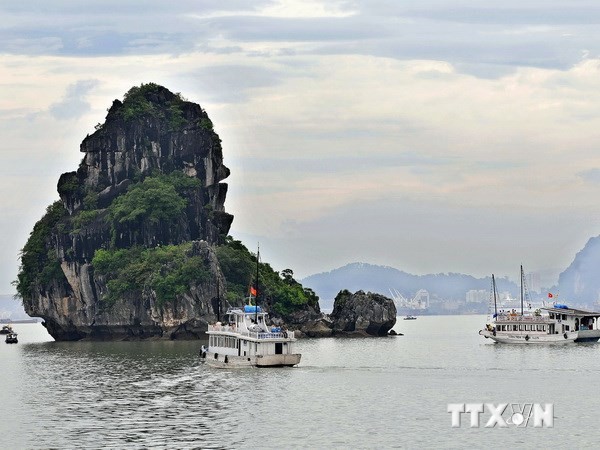 Photo contest highlights beauty of Ha Long Bay launched - ảnh 1