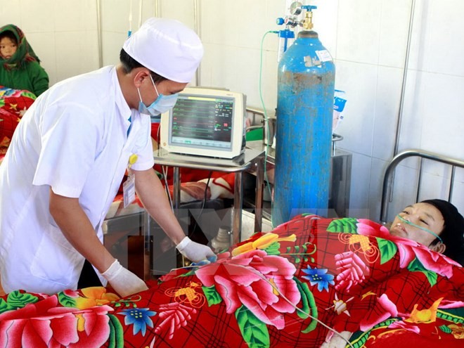 EU provides 114-million-euro fund for Vietnam’s health sector - ảnh 1