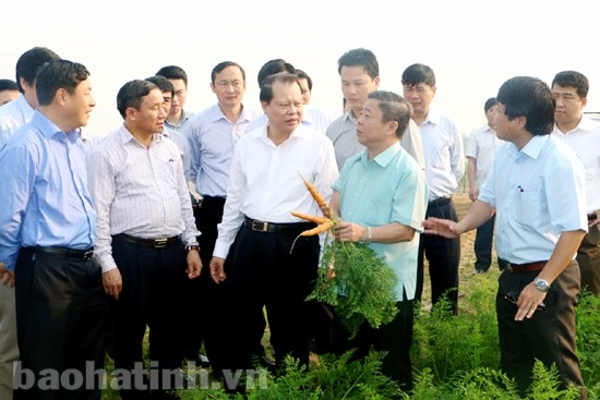 Deputy PM applauds Ha Tinh province’s high GDP growth - ảnh 1