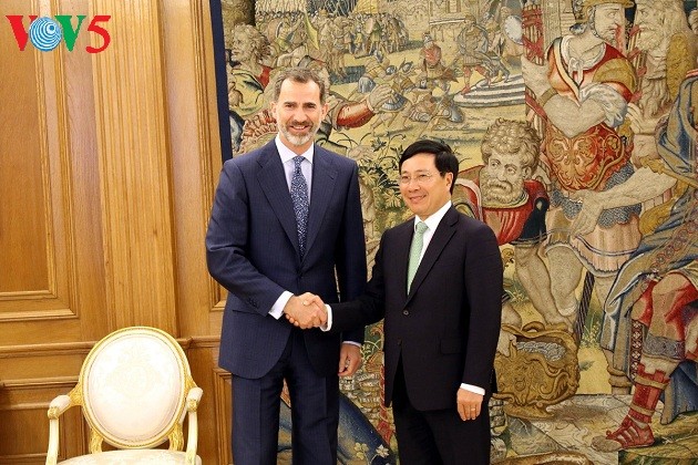 Spain regards Vietnam as important partner - ảnh 1
