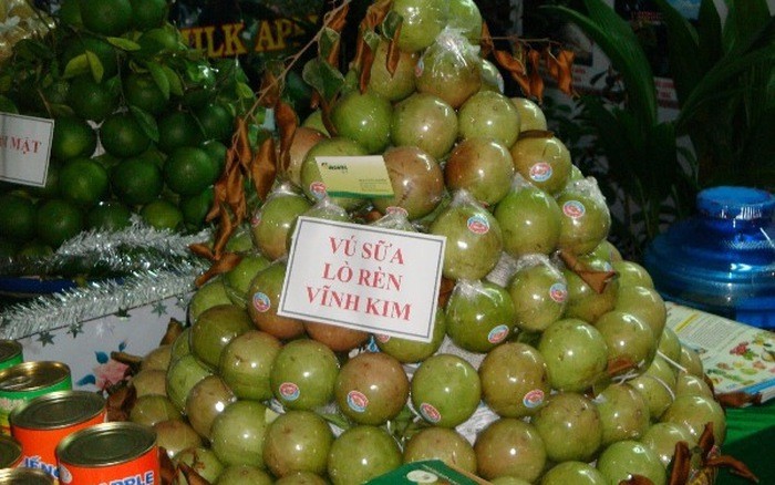 Vietnam exports first batch of star apples to US - ảnh 1