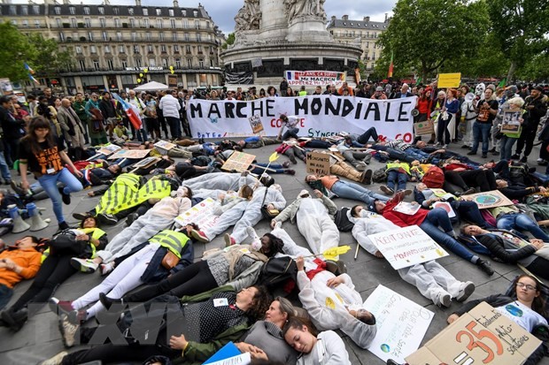 Anti-Monsanto protest takes place across France - ảnh 1