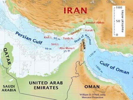 Countries react to Strait of Hormuz tesions  - ảnh 1