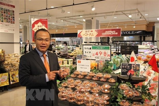 Trade conference introduces Vietnam’s farm produce to Japan - ảnh 1