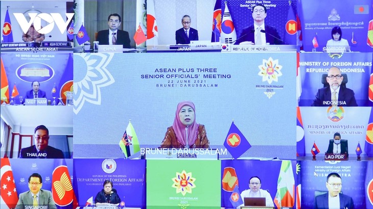 ASEAN+3 SOM: Vietnam calls for cooperation to fight COVID-19 - ảnh 2