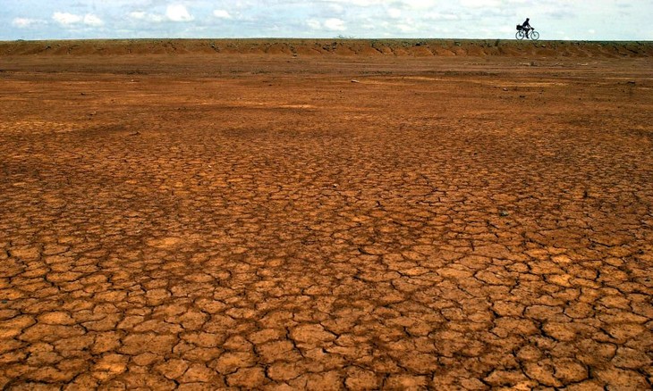 Half of world’s people suffer impacts of degraded land - ảnh 1