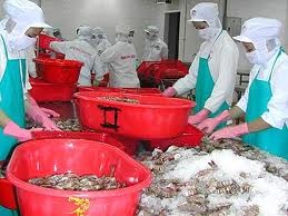 Exportvolumen von Meeresfrüchten soll 6,5 Milliarden US-Dollar betragen - ảnh 1