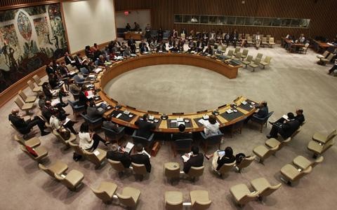 UN-Sicherheitsrat verabschiedet erste Resolution für Syrien - ảnh 1