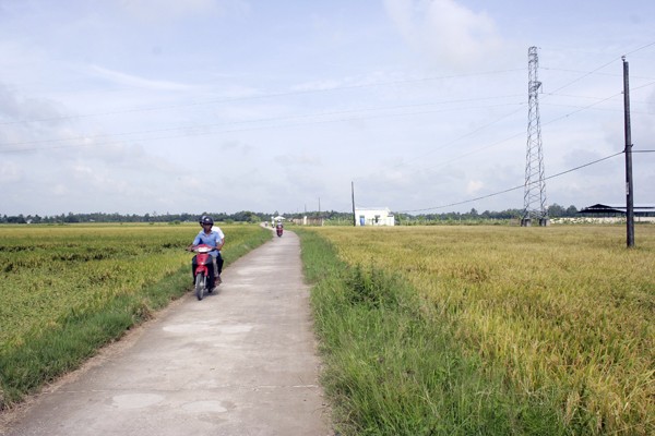Vietnam berücksichtigt Landwirtschaftsentwicklung - ảnh 1