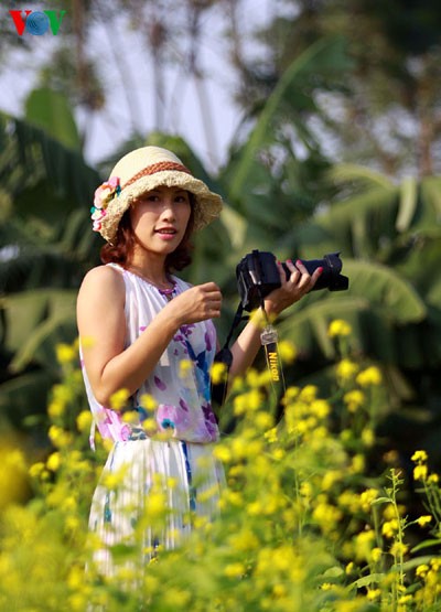 Hanoier Mädchen mit der Saison der Cai-Blüte - ảnh 4