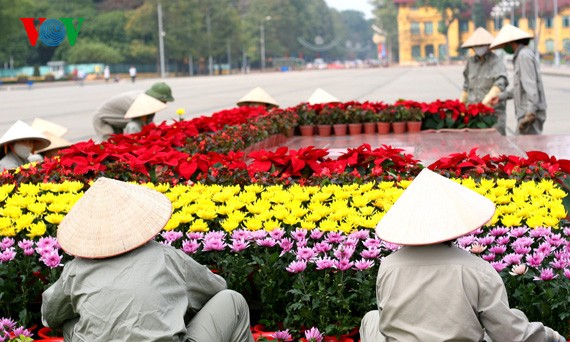 Frühlingsstimmung: Bunte Blumen rund um den Hoan Kiem-See - ảnh 9