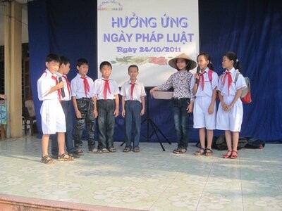 9. November: Tag der vietnamesischen Gesetze  - ảnh 1