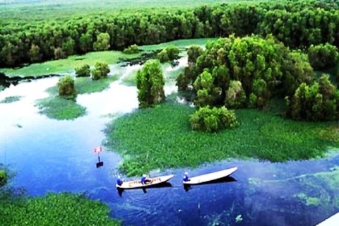 Nationalpark Ca Mau ist als Welt-Ramsar-Gebiet anerkannt - ảnh 1