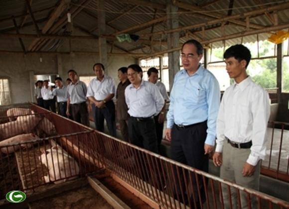 Vize-Premierminister Nguyen Thien Nhan arbeitet in Ha Nam - ảnh 1