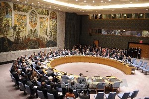 China übernimmt den Vorsitz des UN-Sicherheitsrats - ảnh 1