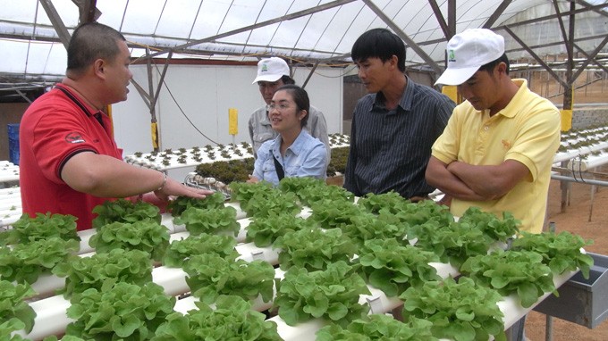Ho Chi Minh Stadt entsendet Bauern ins Ausland, um Erfahrung zu sammeln - ảnh 1
