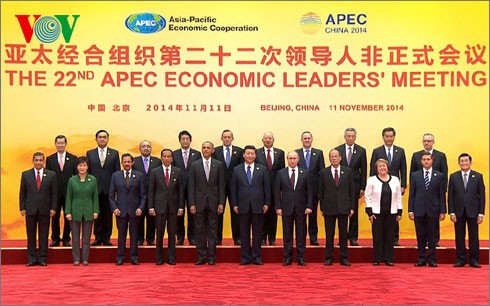 22. APEC-Gipfeltreffen: Verstärkung der Verbindungen des APECs - ảnh 1