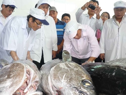 Vietnam will mit Japan im Thunfisch-Export erfolgreich zusammenarbeiten - ảnh 1