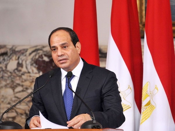 Ägyptens Präsident ratifiziert Gesetz zum verstärkten Kampf gegen Terrorismus - ảnh 1