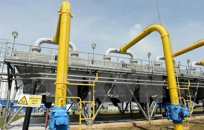 Russland erhält Vorauszahlung von 15 Millionen US-Dollar der Ukraine für Erdgas - ảnh 1