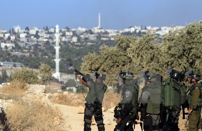 Israel nimmt Palästinenser in Jerusalem und Westjordanland fest - ảnh 1