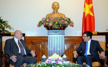 Vizepremierminister Pham Binh Minh empfängt Botschafter aus Russland und Brasilien - ảnh 1
