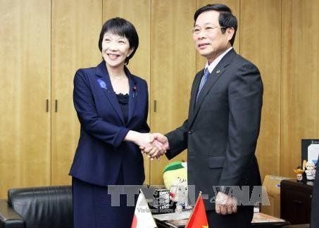 Vietnam und Japan verstärken Zusammenarbeit in Information und Kommunikation - ảnh 1