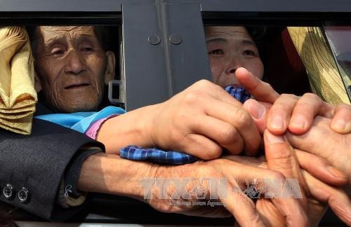 Nord- und Südkorea verhandeln über Programm zur Familienzusammenführung - ảnh 1