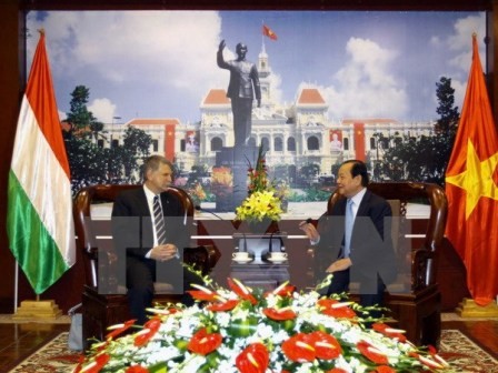 Zusammenarbeit zwischen Ho Chi Minh Stadt und Ungarn verstärken - ảnh 1