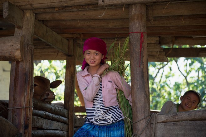 “Fotografenfreunden” stellen “Schönes Vietnam” in Australien vor - ảnh 1