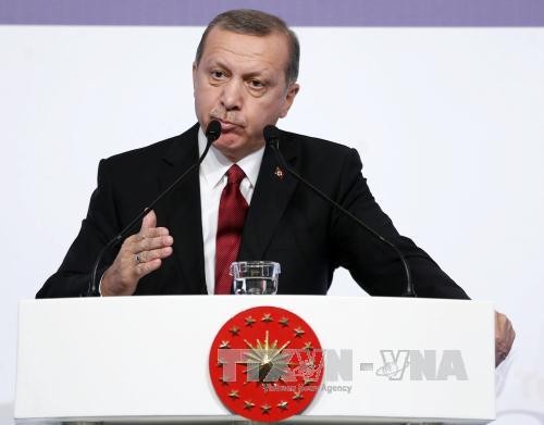 Türkei wird keine Vergeltungsaktion gegen Sanktionen Russlands einführen - ảnh 1