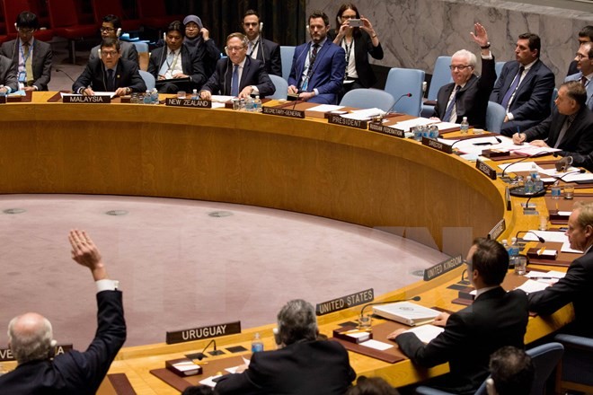 UN-Sicherheitsrat weist Resolutionsentwürfe von Frankreich und Russland zu Syrien zurück - ảnh 1