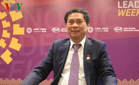 Vietnam ist bereit für das APEC-Jahr 2017 - ảnh 1