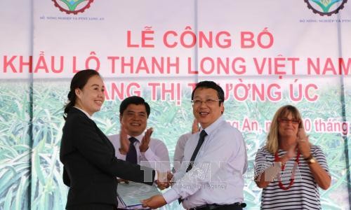 Vietnam exportiert zum ersten Mal frische Drachenfrüchte nach Australien - ảnh 1