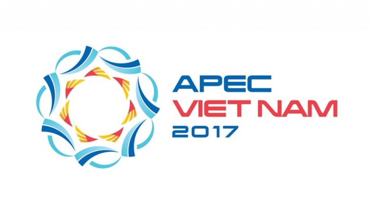 APEC 2017: Indonesien unterstützt die Prioritäten Vietnams - ảnh 1
