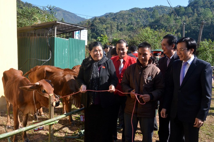 Vizeparlamentspräsidentin Tong Thi Phong besucht die Bewohner im Kreis Muong Nhe - ảnh 1