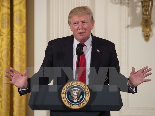 US-Präsident Donald Trump unterzeichnet Dekret zur Beendigung der “Null-Toleranz-Flüchtlingspolitik” - ảnh 1