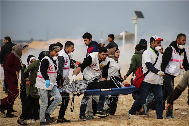 UN-Sonderbeauftragter: Die Gewalt im Gaza kann eine Katastrophe sein  - ảnh 1