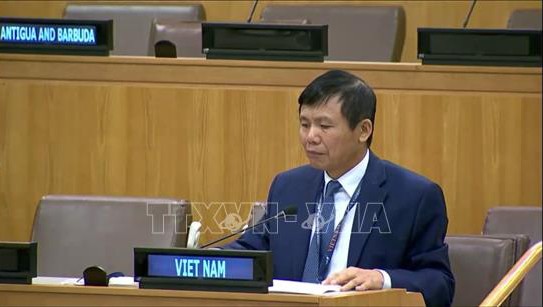 Vietnam: Die ASEAN unterstützt die Nichtverbreitung und Abrüstung von Vernichtungswaffen - ảnh 1
